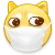 doge_mask